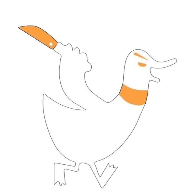 Ducks logo
